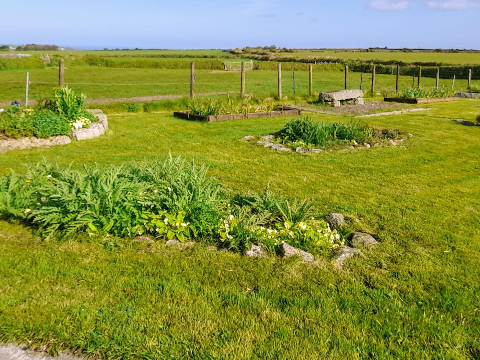 Ash Tree Cottage Carnbrea Esterno foto